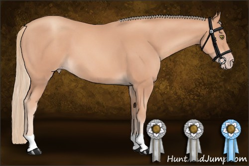 Horse Color:Gold Champagne 
