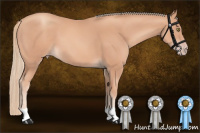 Horse Color:Gold Champagne 