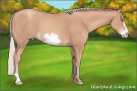 Horse Color:Silver Amber Champagne Frame 