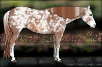 Horse Color:White Spotted Liver Chestnut Ice Sabino