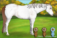 Horse Color:White Spotted Liver Chestnut Sabino