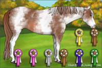 Horse Color:White Spotted Liver Chestnut Sabino