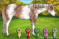 Horse Color:White Spotted Liver Chestnut Sabino