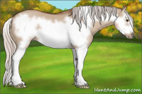 Horse Color:Silver Bay Dun Splash Frame Rabicano