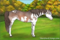 Horse Color:Brown Splash Varnish 