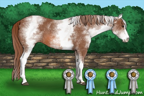 Horse Color: White Spotted Liver Chestnut Sabino 