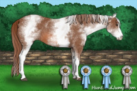 Horse Color:White Spotted Liver Chestnut Sabino 