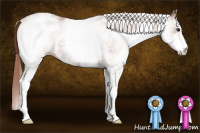 Horse Color:White Spotted Liver Chestnut Sabino 