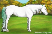Horse Color:Watercolor Brown Splash Tobiano 