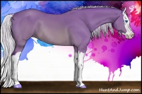 Horse Color:Watercolor Silver Brown Splash 