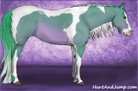Horse Color:Watercolor Bay Splash Tobiano 