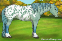 Horse Color:Watercolor Black Tobiano Appaloosa 
