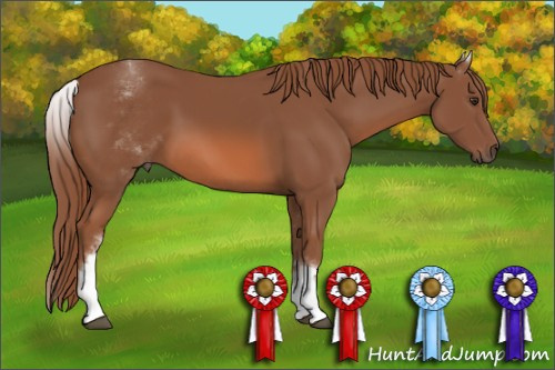 Horse Color: White Spotted Liver Chestnut Sabino 