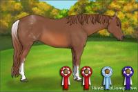Horse Color:White Spotted Liver Chestnut Sabino