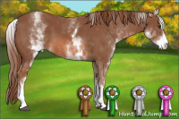 Horse Color:White Spotted Liver Chestnut Sabino