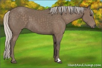 Horse Color:Silver Black 