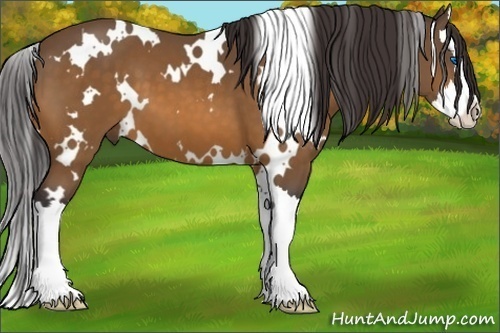 Horse Color: White Spotted Buckskin Splash 