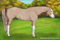 Horse Color:Red Dun Roan Splash 
