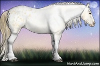 Horse Color:Buckskin Roan Blanket 