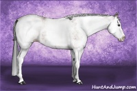 Horse Color:White Spotted Bay Splash 