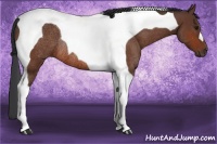 Horse Color:Bay Tobiano Rabicano