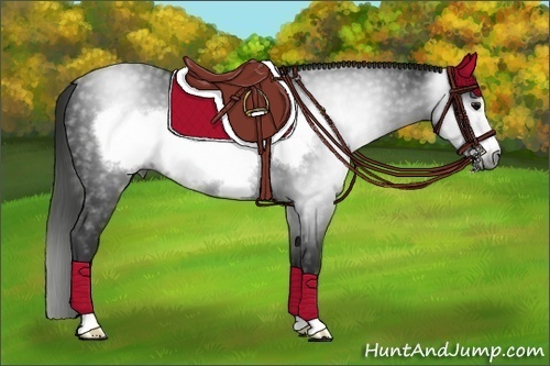 Horse Color:Gray Black Sabino Frame 