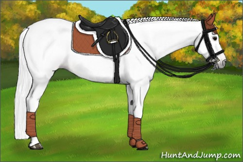 Horse Color:Gray Bay Tobiano Blanket