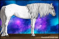 Horse Color:Blue Roan Snowcap 