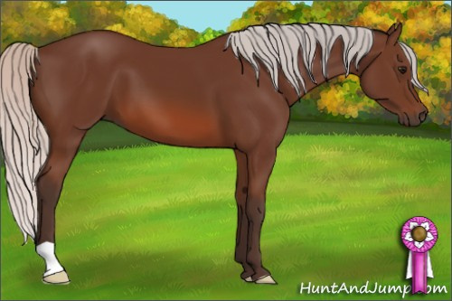 Horse Color: Silver Brown 