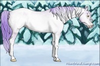 Horse Color:Gray Watercolor Amber Champagne Tobiano Frame Varnish 