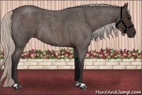 Horse Color:Silver Brown Roan 