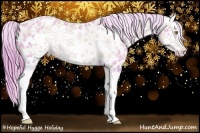 Horse Color:Watercolor Gold Champagne Roan Splash Frame Near Leopard Rabicano 