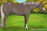 Horse Color:Silver Black 