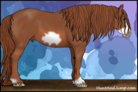 Horse Color:Liver Chestnut Frame 