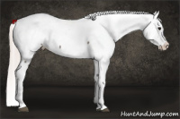 Horse Color:Silver Grullo Near Fewspot 
