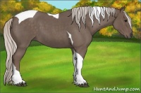 Horse Color:Silver Blue Roan Tobiano 