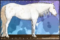 Horse Color:White Spotted Classic Cream Champagne Ice Dun Sabino Blanket 