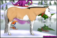 Horse Color:Buckskin Roan Splash