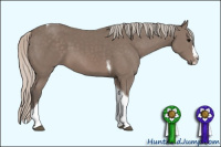Horse Color:Unknown 