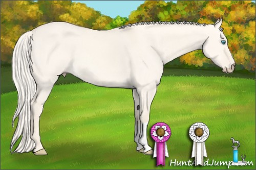 Horse Color: Cremello Dun 