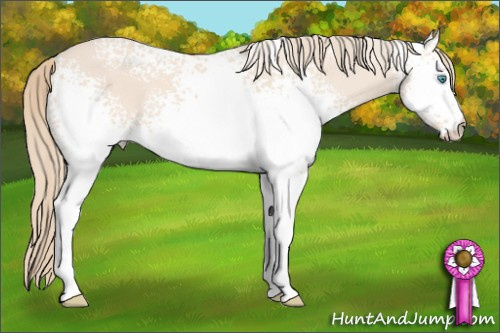 Horse Color: White Spotted Perlino 
