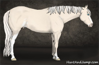 Horse Color:Cremello Sabino