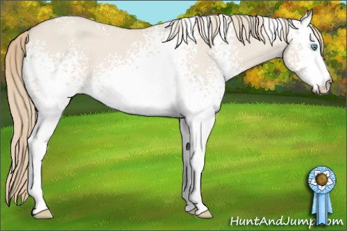 Horse Color: White Spotted Smoky Creme Dun 