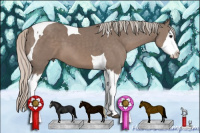 Horse Color:Silver Black Sabino Splash Tobiano