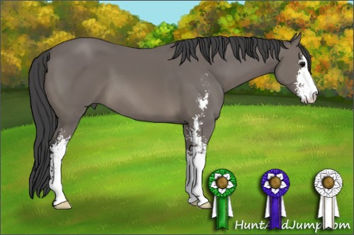 Horse Color: Black Sabino 