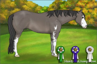 Horse Color:Black Sabino 