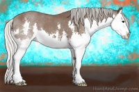 Horse Color:Silver Black Splash 