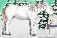 Horse Color:Gray White Spotted Gold Cream Champagne Ice 