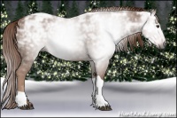 Horse Color:Gray Chestnut Ice Tobiano 