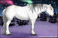 Horse Color:Gray White Spotted Bay Ice